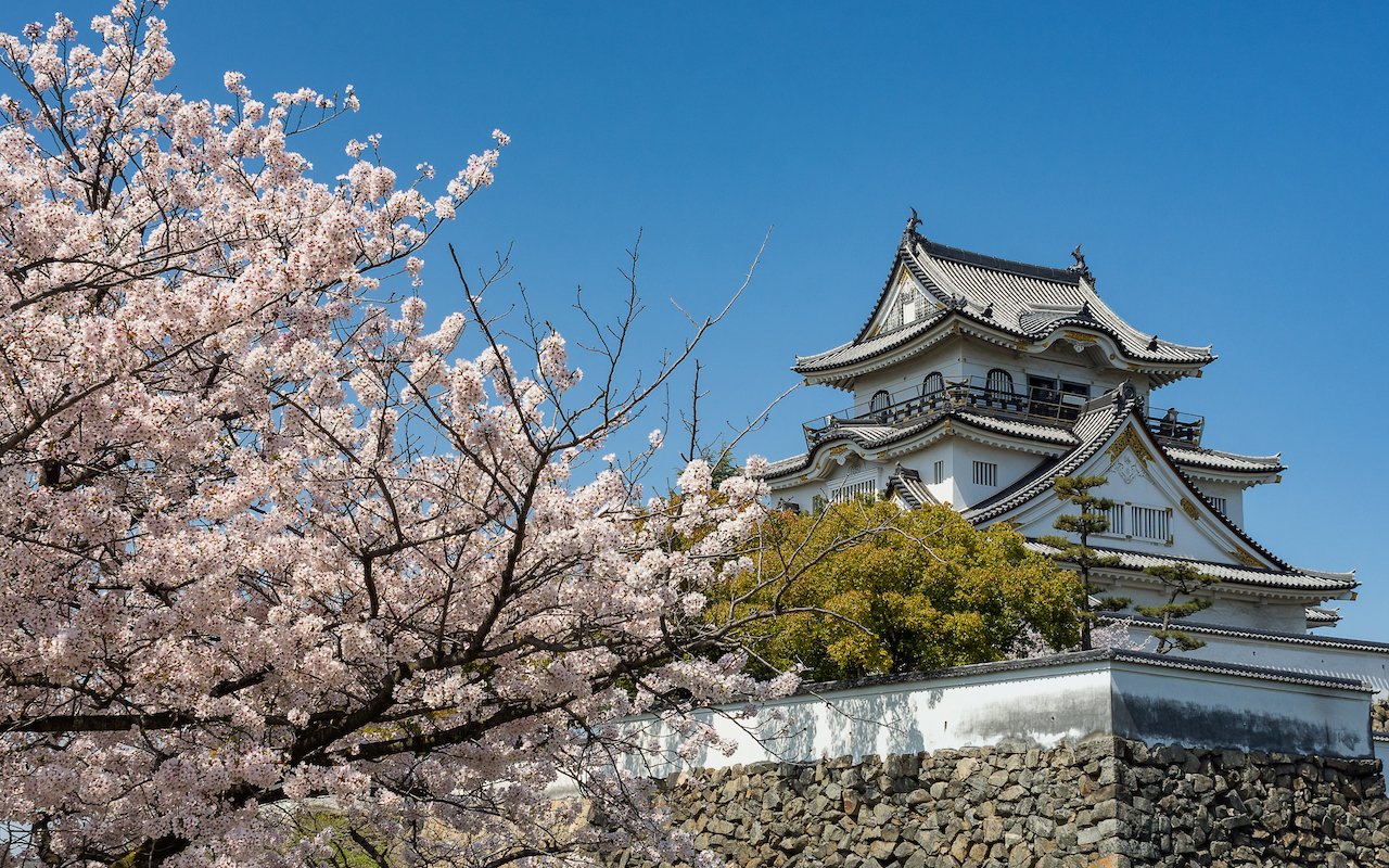 🏞️ 후쿠이 댐 공원 (후쿠이 다무 코엔) 이미지 5